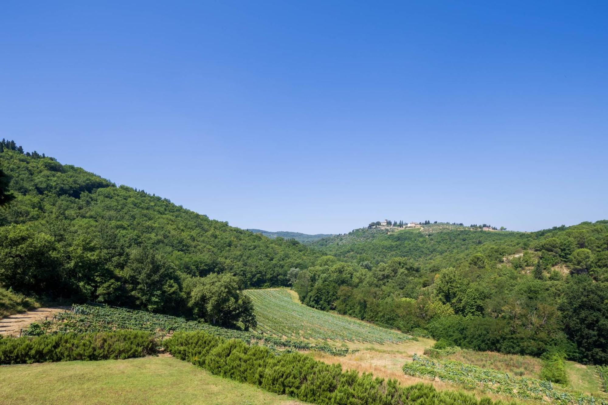 Foresteria Castello Di Verrazzano グレーヴェ・イン・キアンティ エクステリア 写真